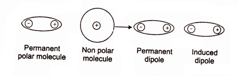 Dipole Induced Dipole Intermolecular Forces Chemistry Skills