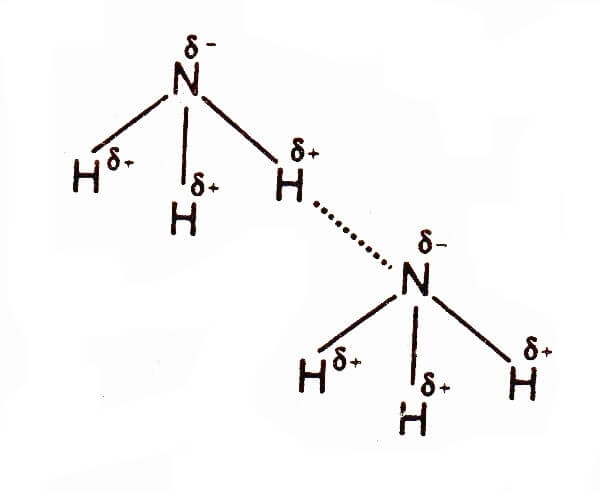 Hydrogen Bonding in ammonia
