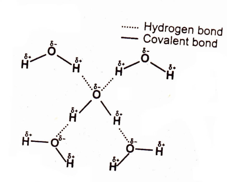 Hydrogen Bonding Chemistry Skills