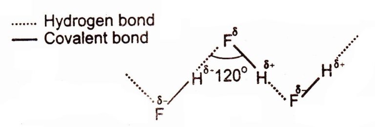 Hydrogen Bonding | Chemistry Skills