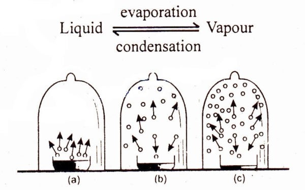 vapour 12