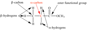 alpha carbon atom