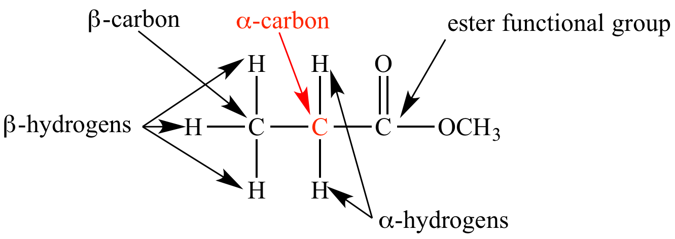 Alpha (α), Beta (β), Gamma (γ) Carbon Atoms | Chemistry Skills