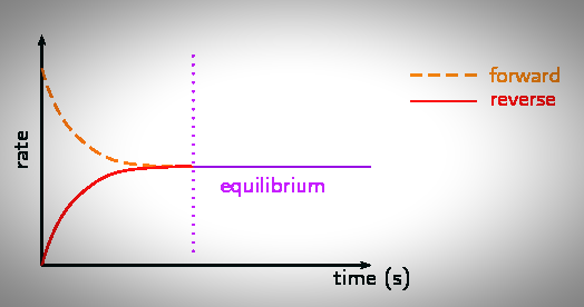 dynamic equilibrium