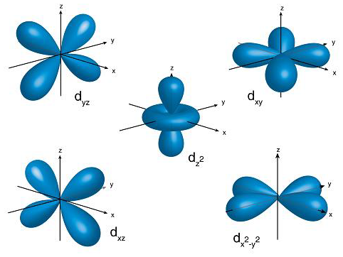 shape of d orbitals